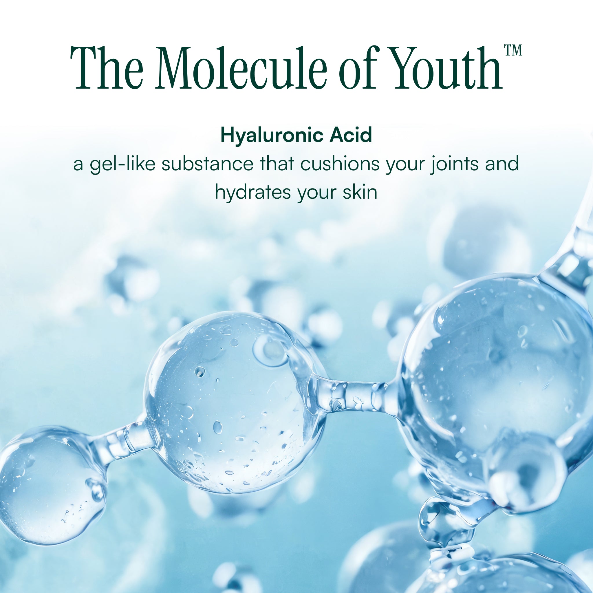 H.A. Joint™ Formula