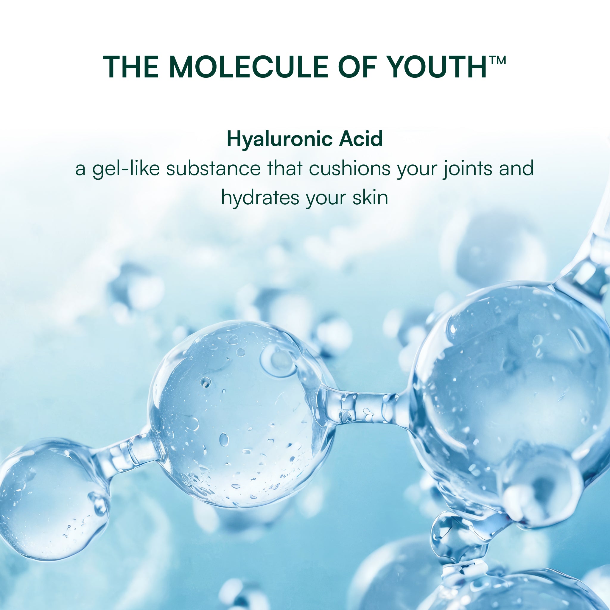 H.A. Joint & Skin™ Super Formula