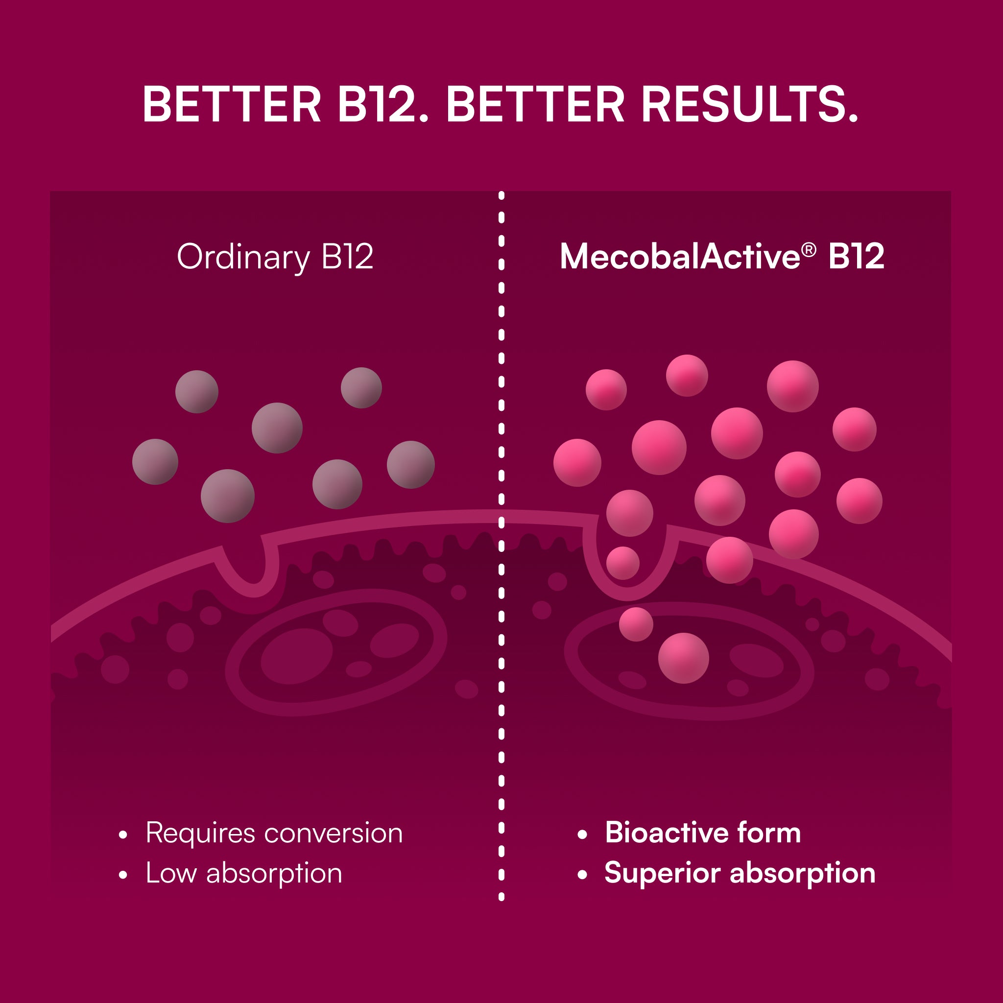 B12 Energy Berry Lemonade Melt
