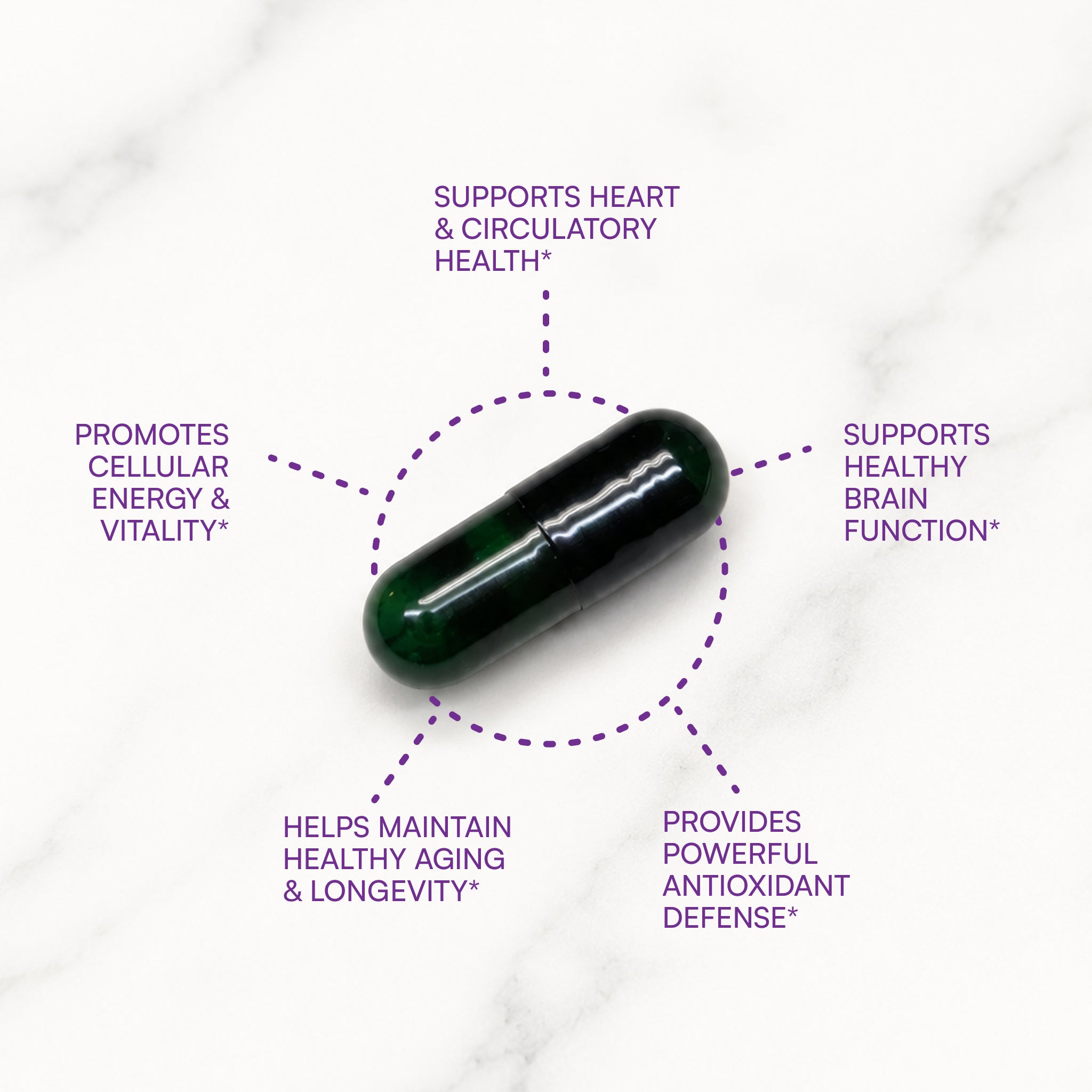Ubiquinol Daily™ | CoQ10 Extra Strength