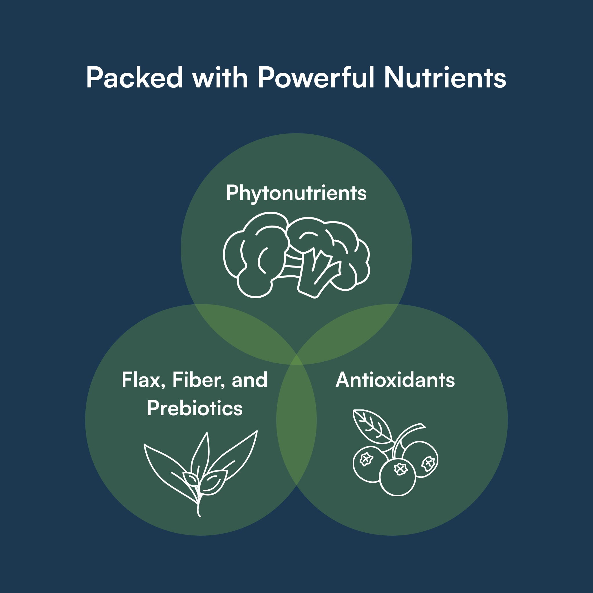 OJC® | Berry Surprise