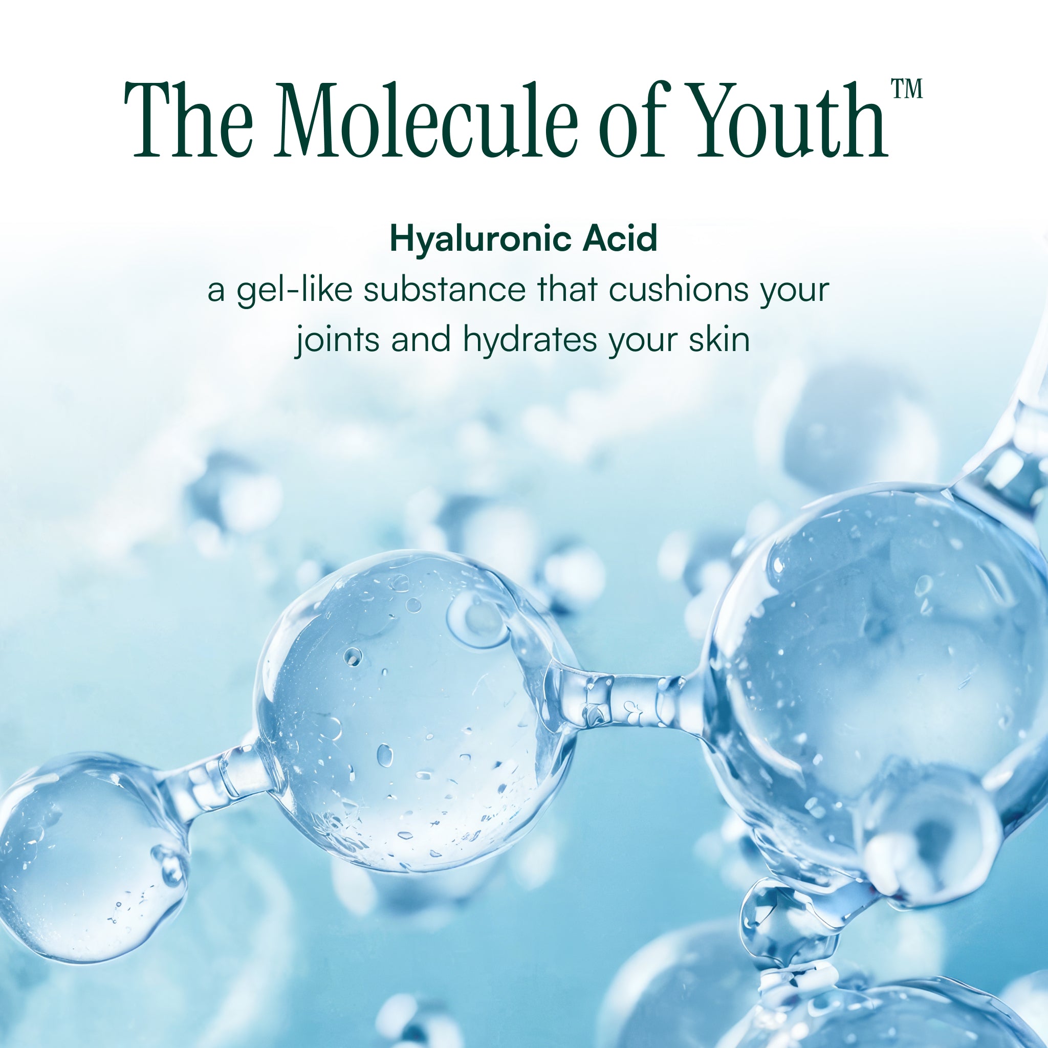 Age Defyance™ Vita-Infusion + Marine Factor Anti-Aging Crème
