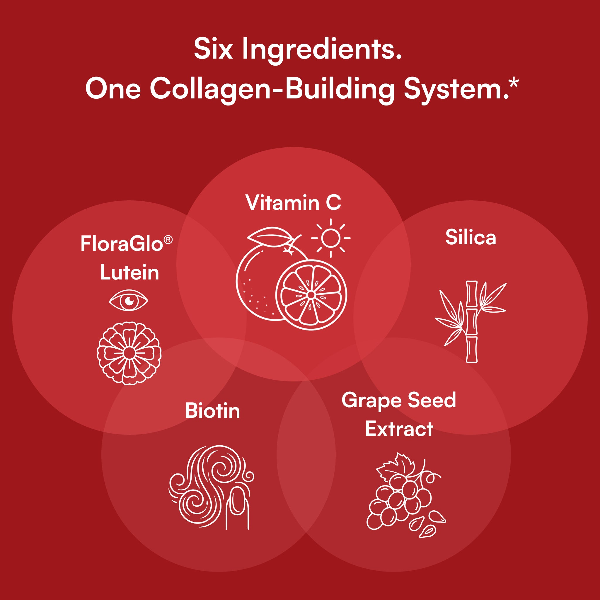 Vegan Collagen Builder™ | Capsules