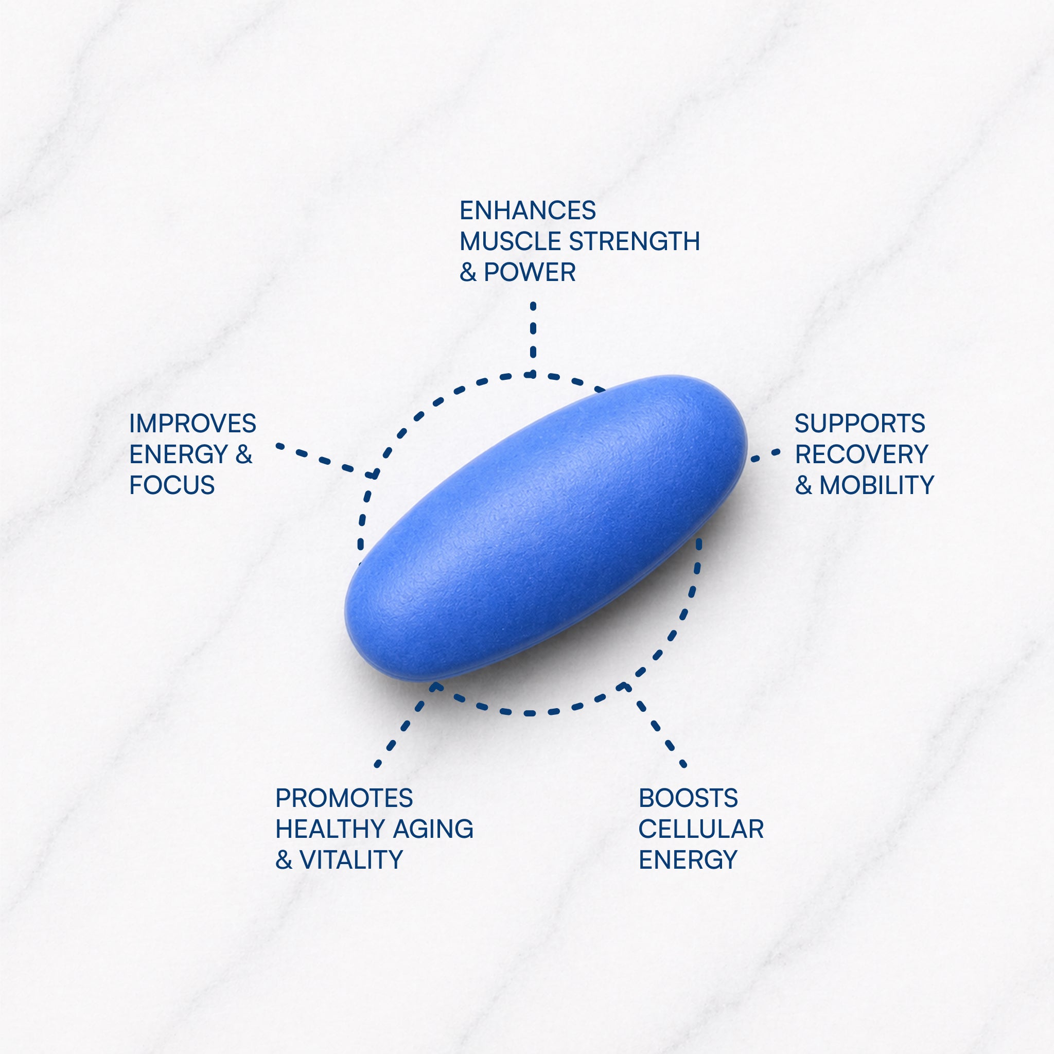 EverStrong® Blue Creatine Tablets