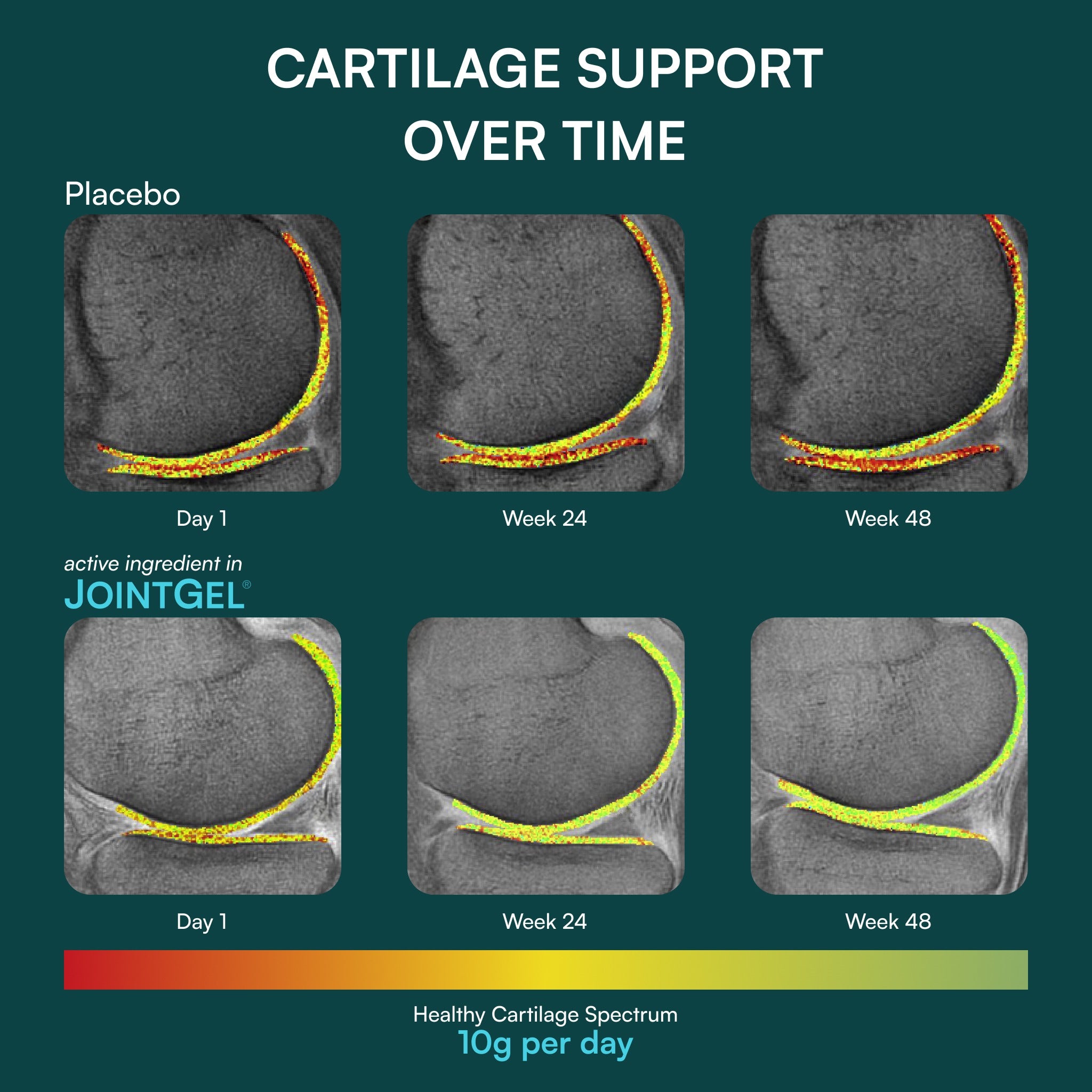 JointGel® | Mixed Berry