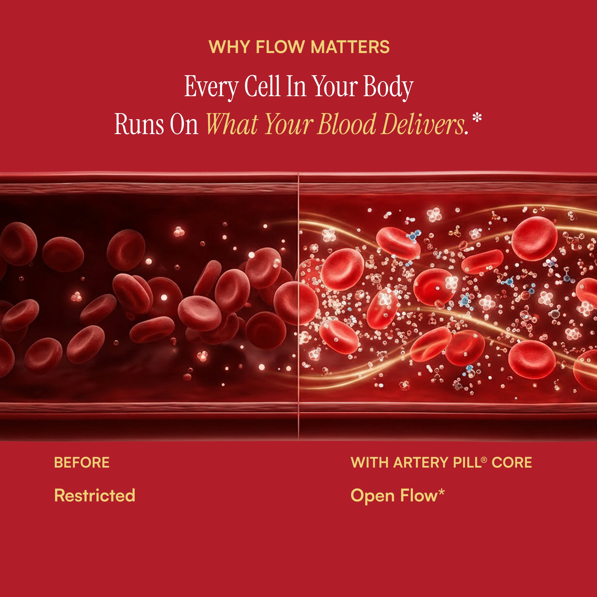 Núcleo de Artery Pill®