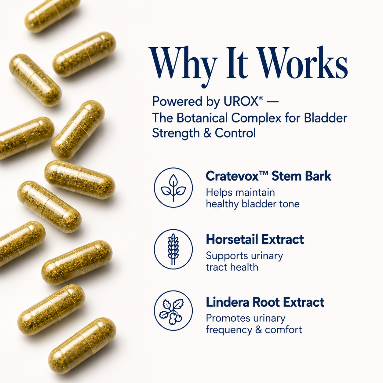 MyBladder®
