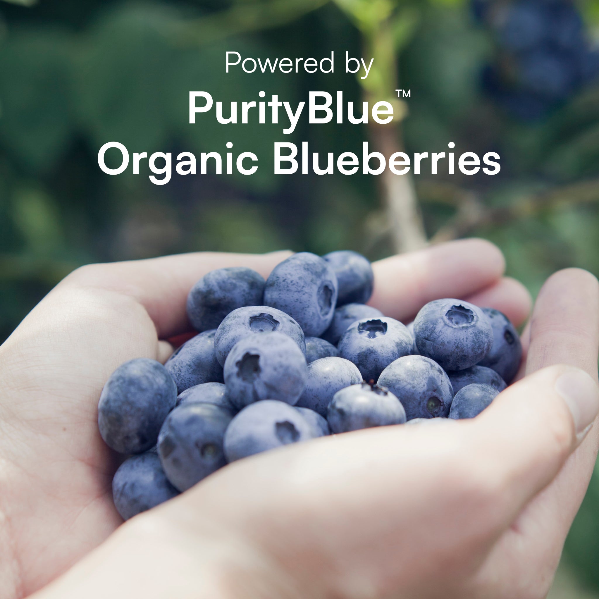 MyMagnesium™ ProClinical