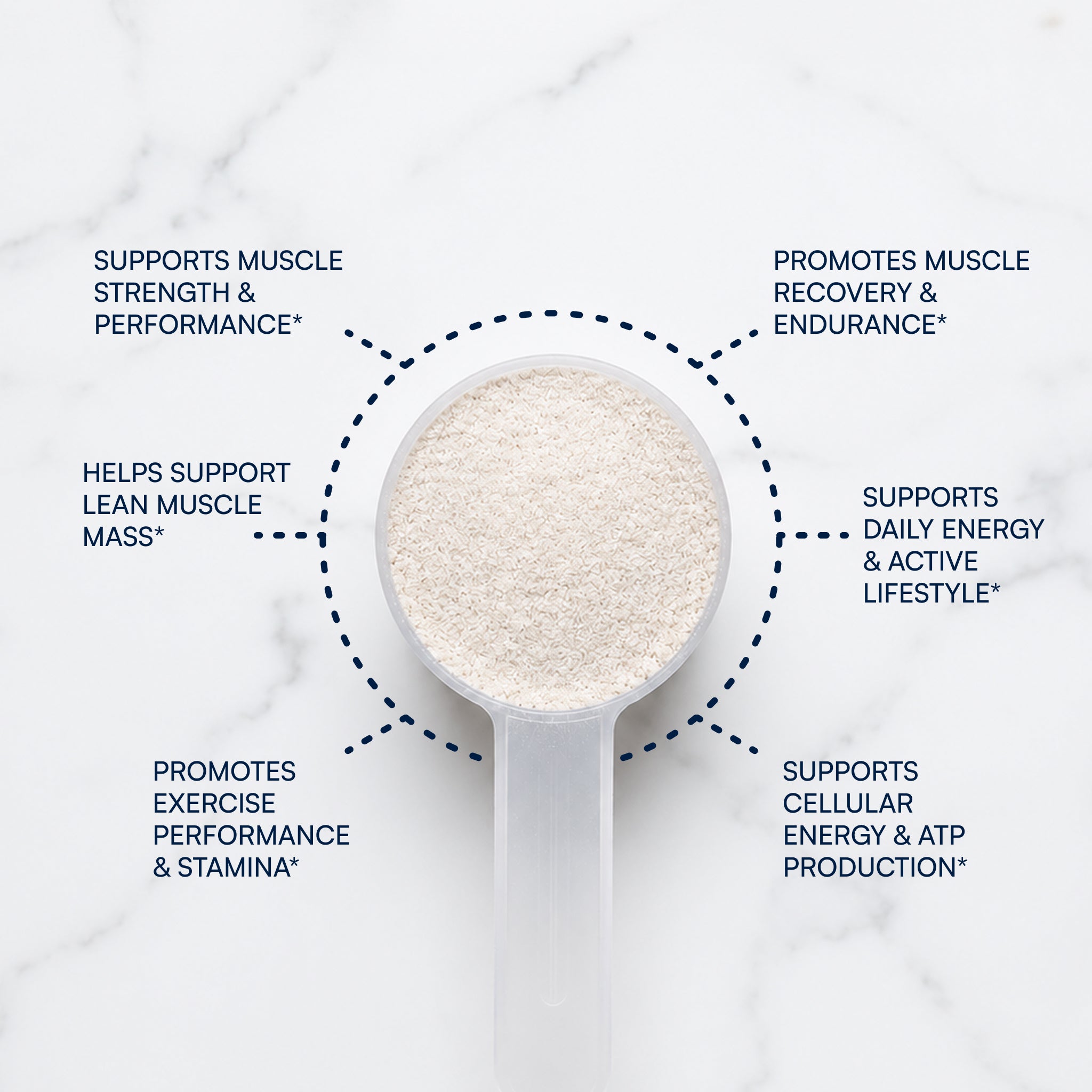 Creatine 9-in-1 Formula