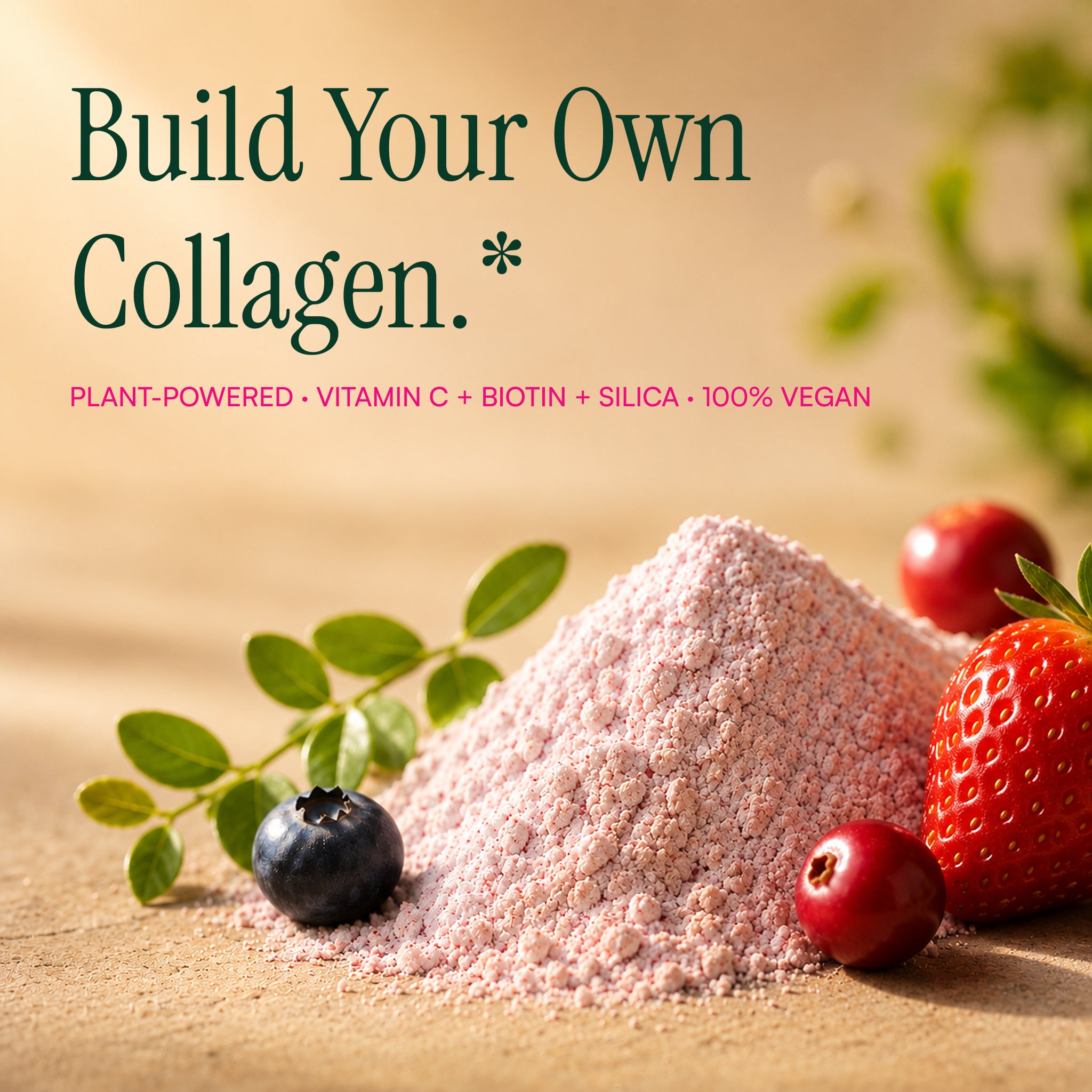 Vegan Collagen Builder™ | Powder