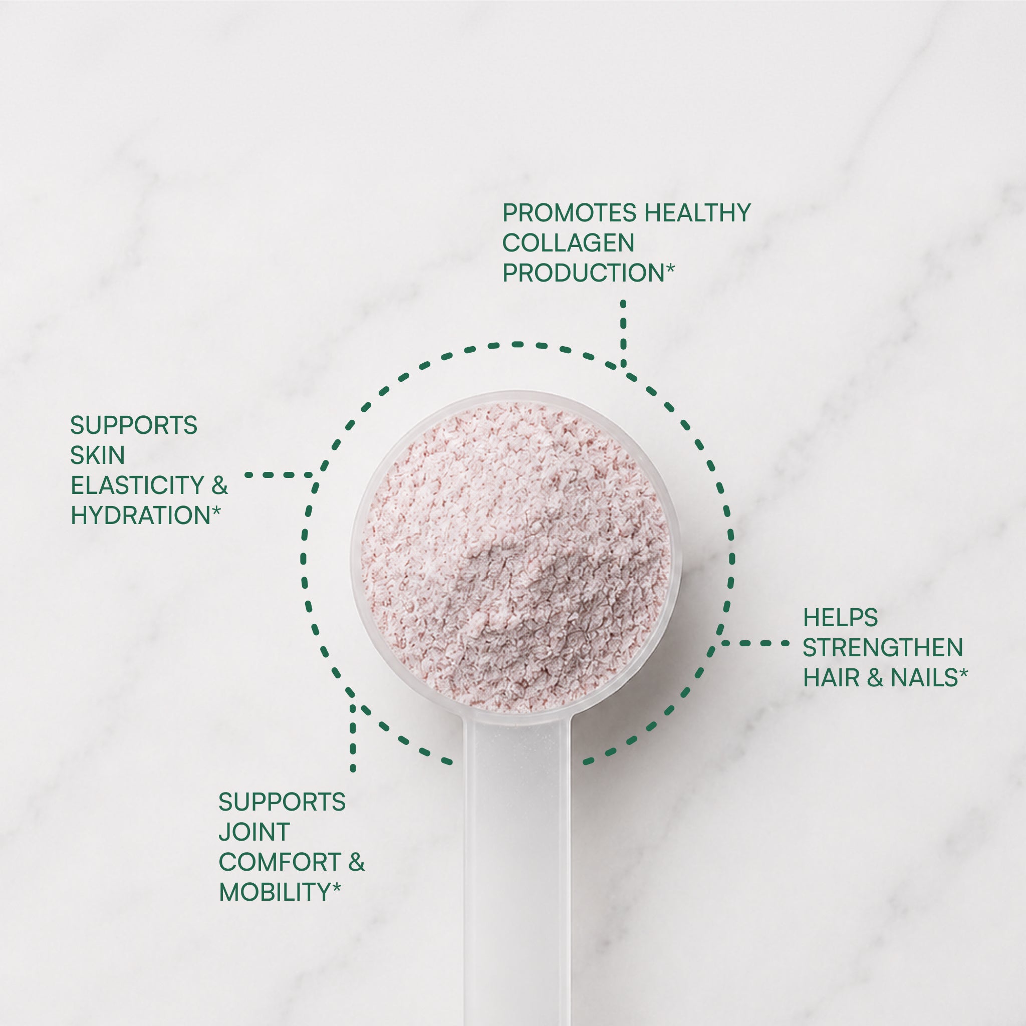 Vegan Collagen Builder™ | Powder