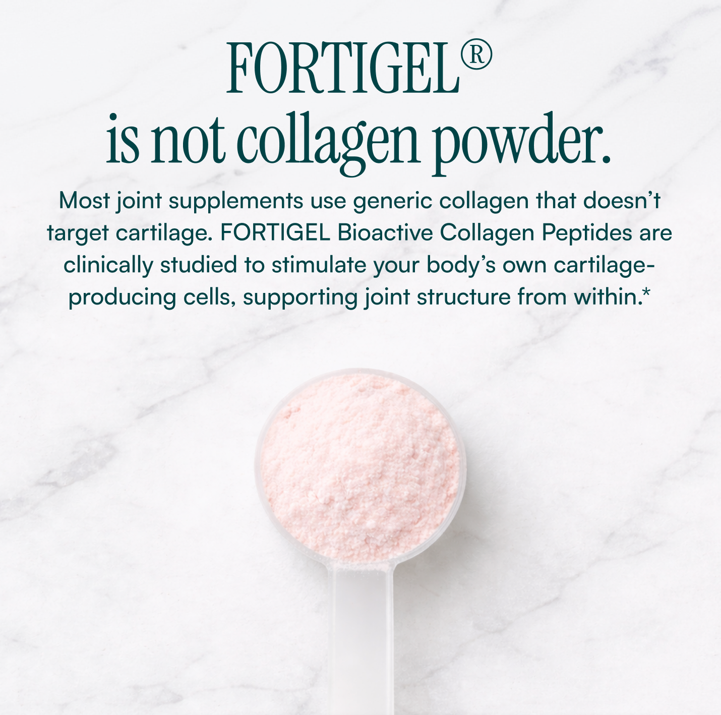 JointGel® | Frutos del bosque