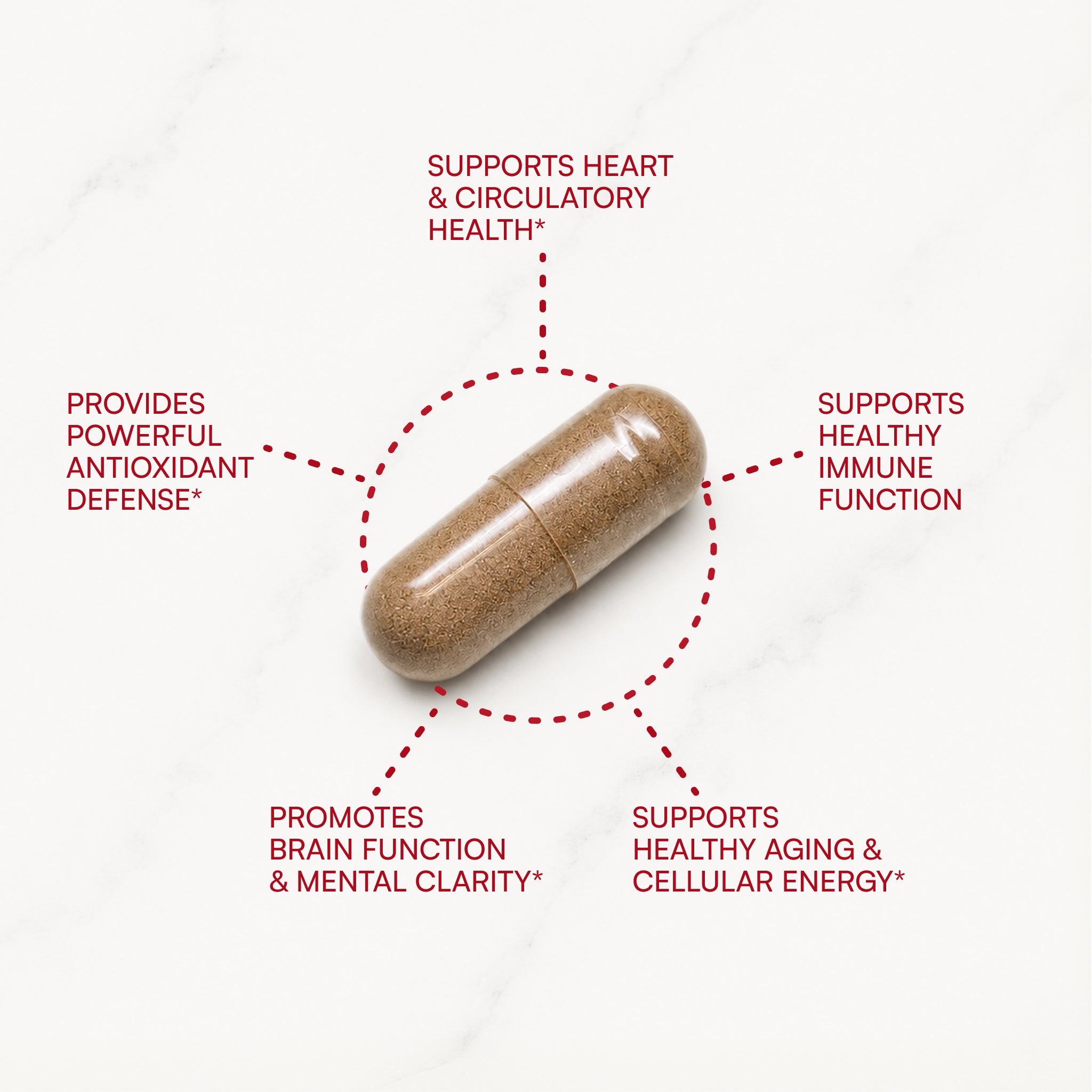 Pycnogenol® CoQ10 Formula