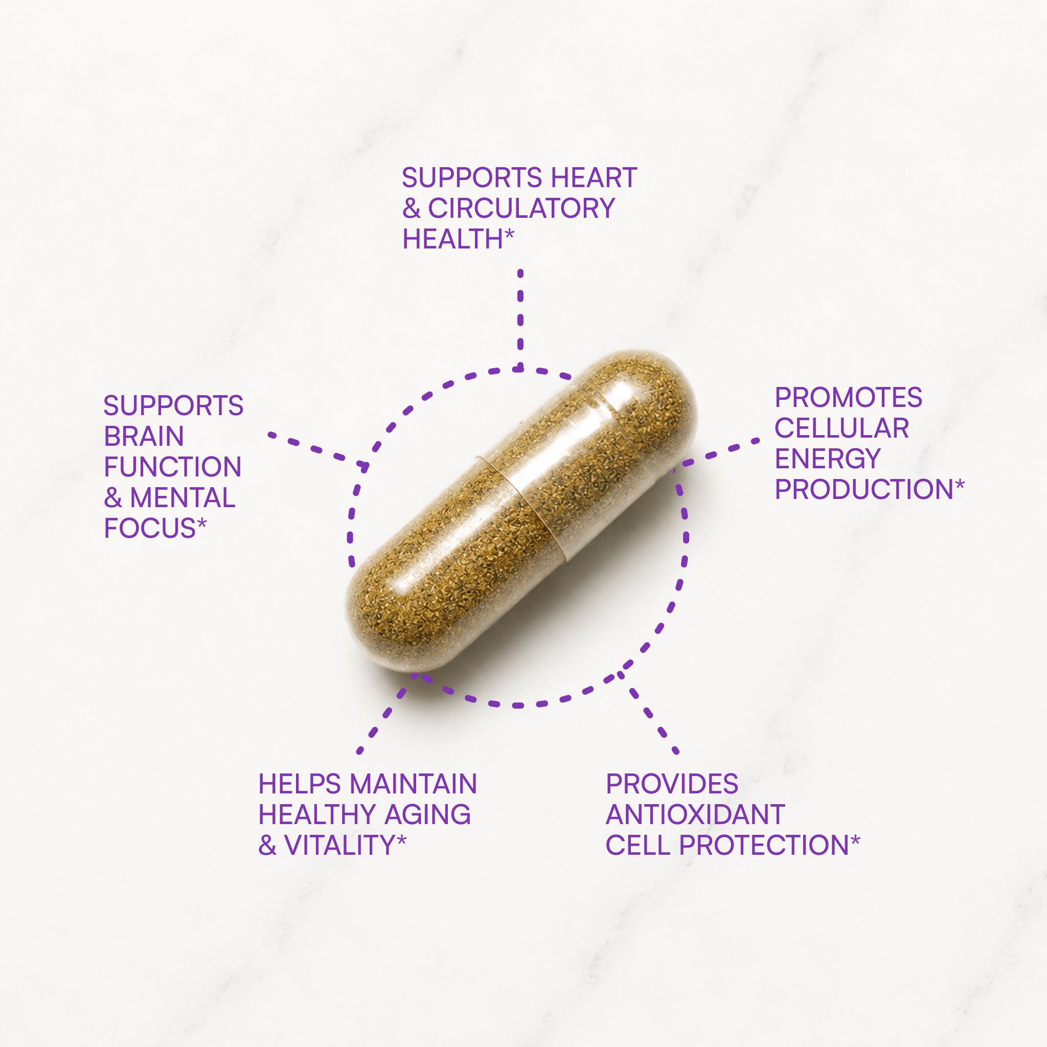 CoQ10 Daily™ with Ginkgo & Resveratrol