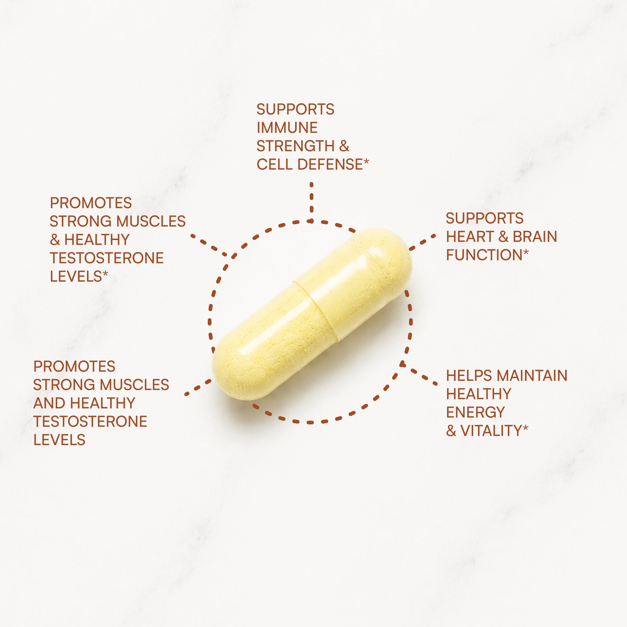 Purity's Advanced D™ Men's Formula