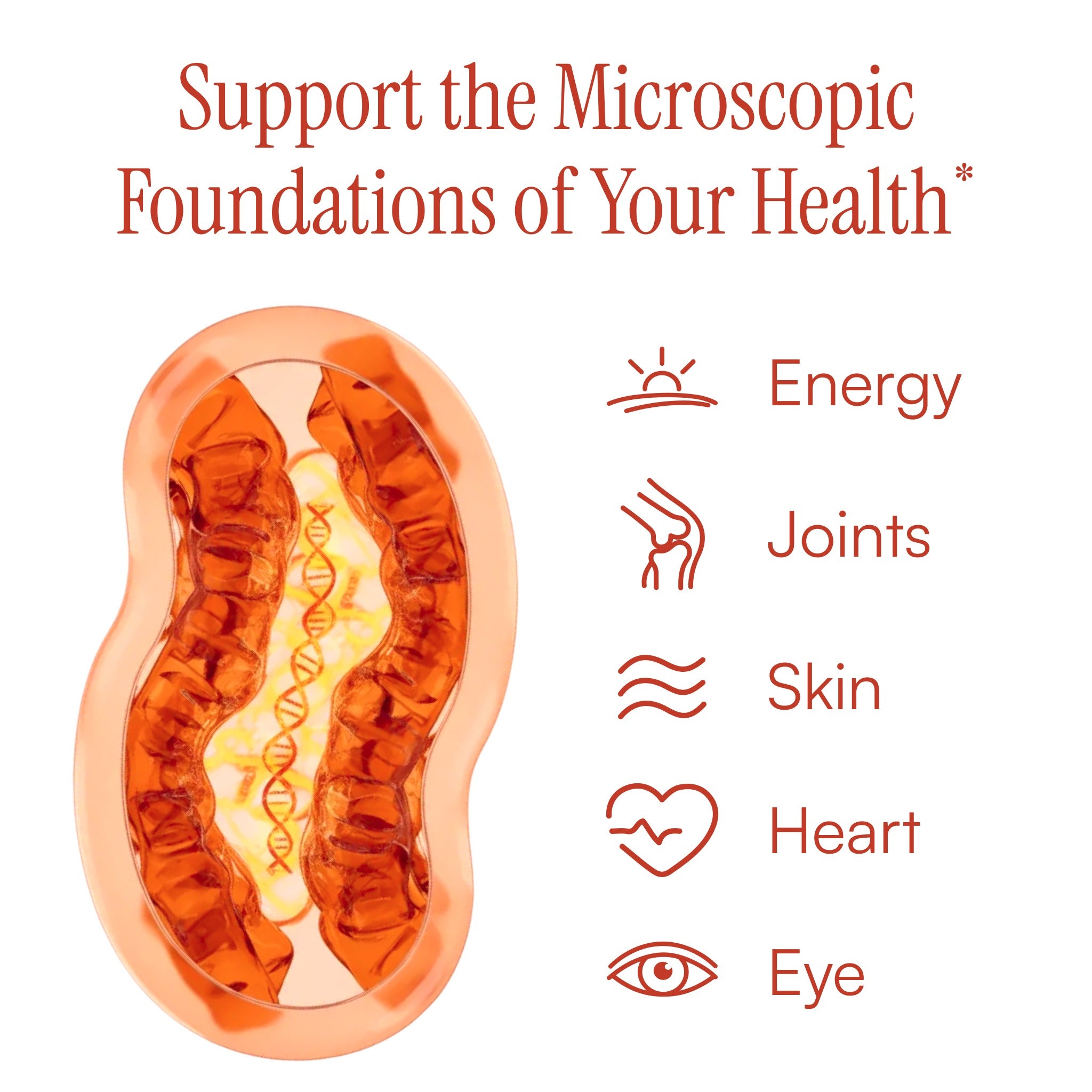 AstaFX® Plus | Extra Strength