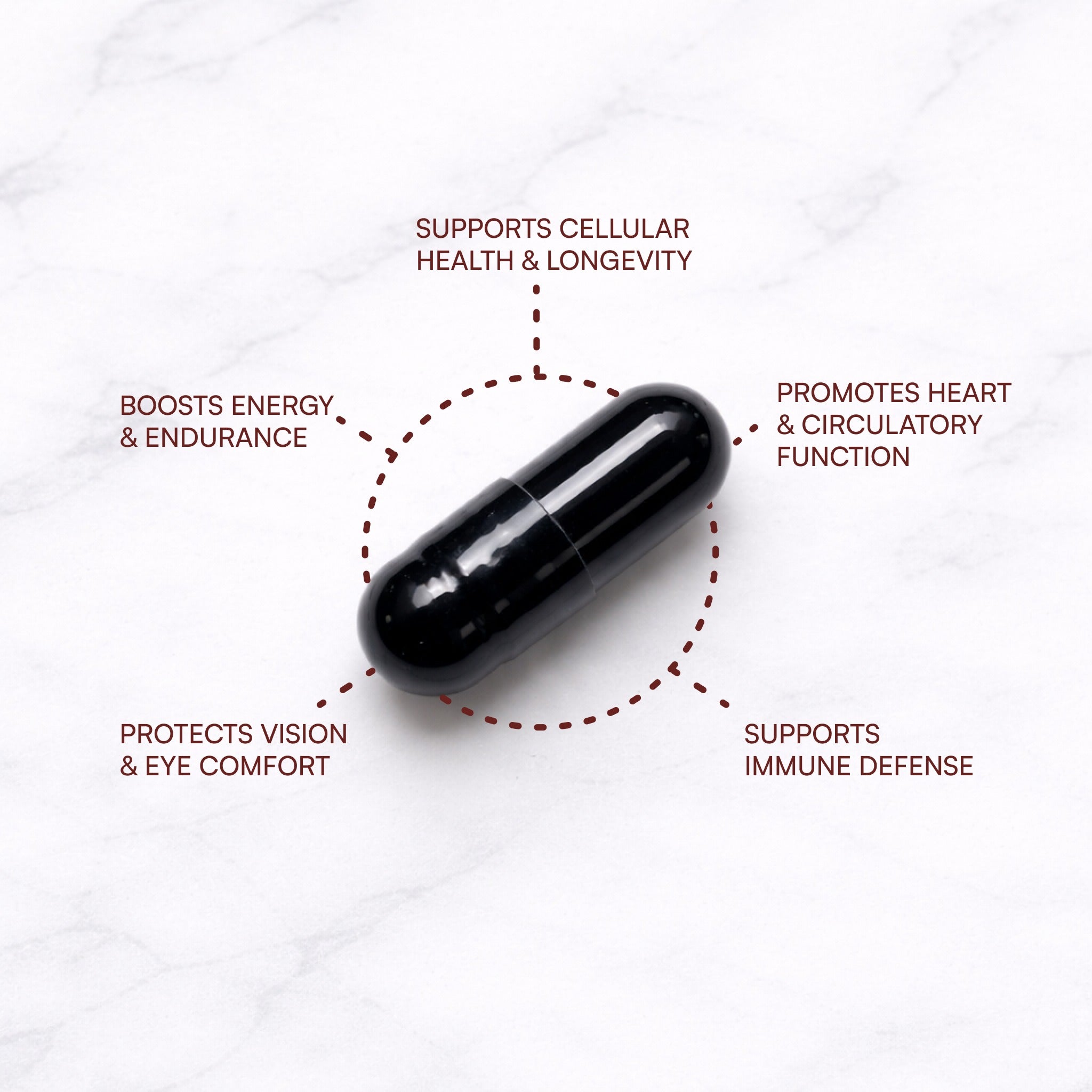 AstaFX® Plus | Extra Strength