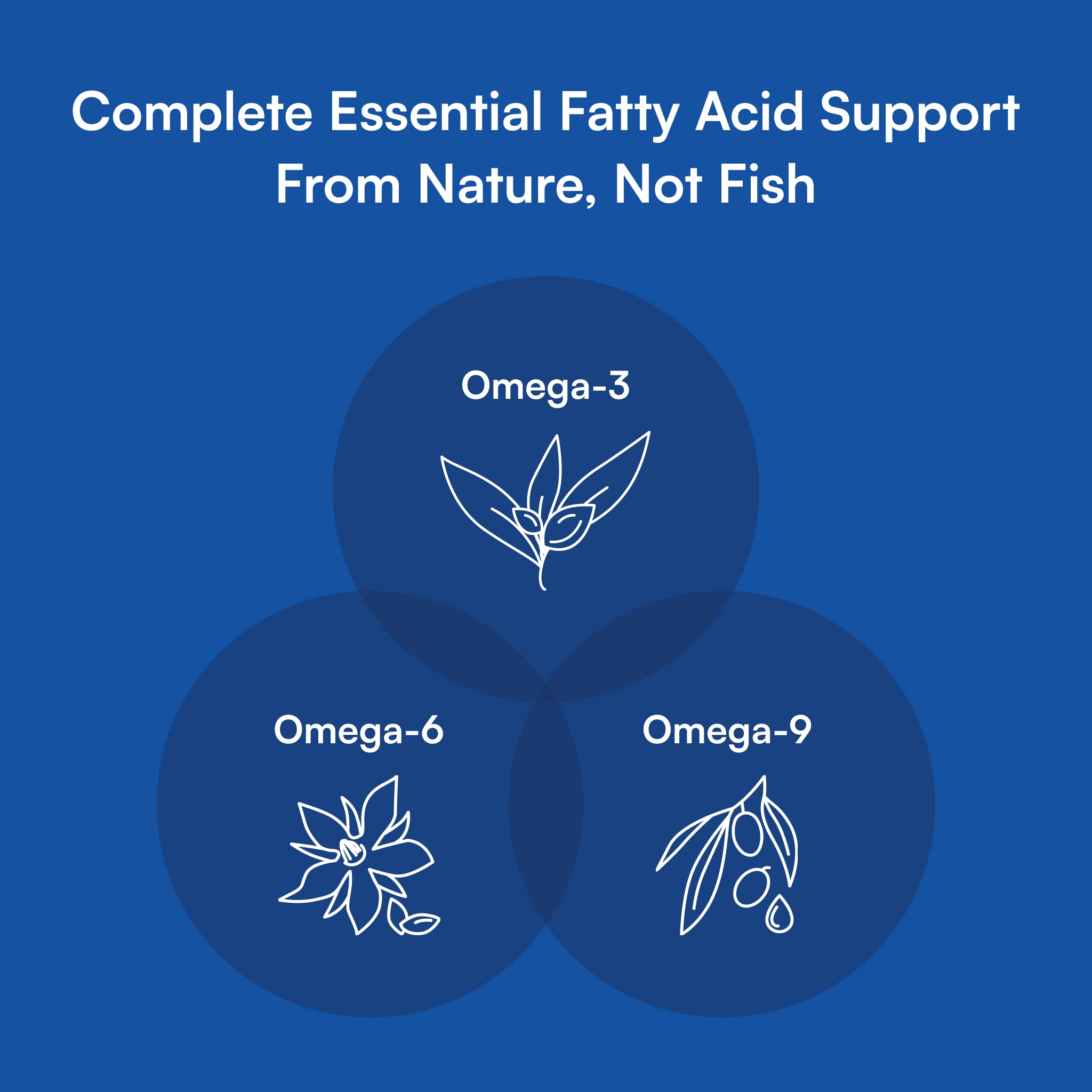 Vegan Omega 3-6-9™