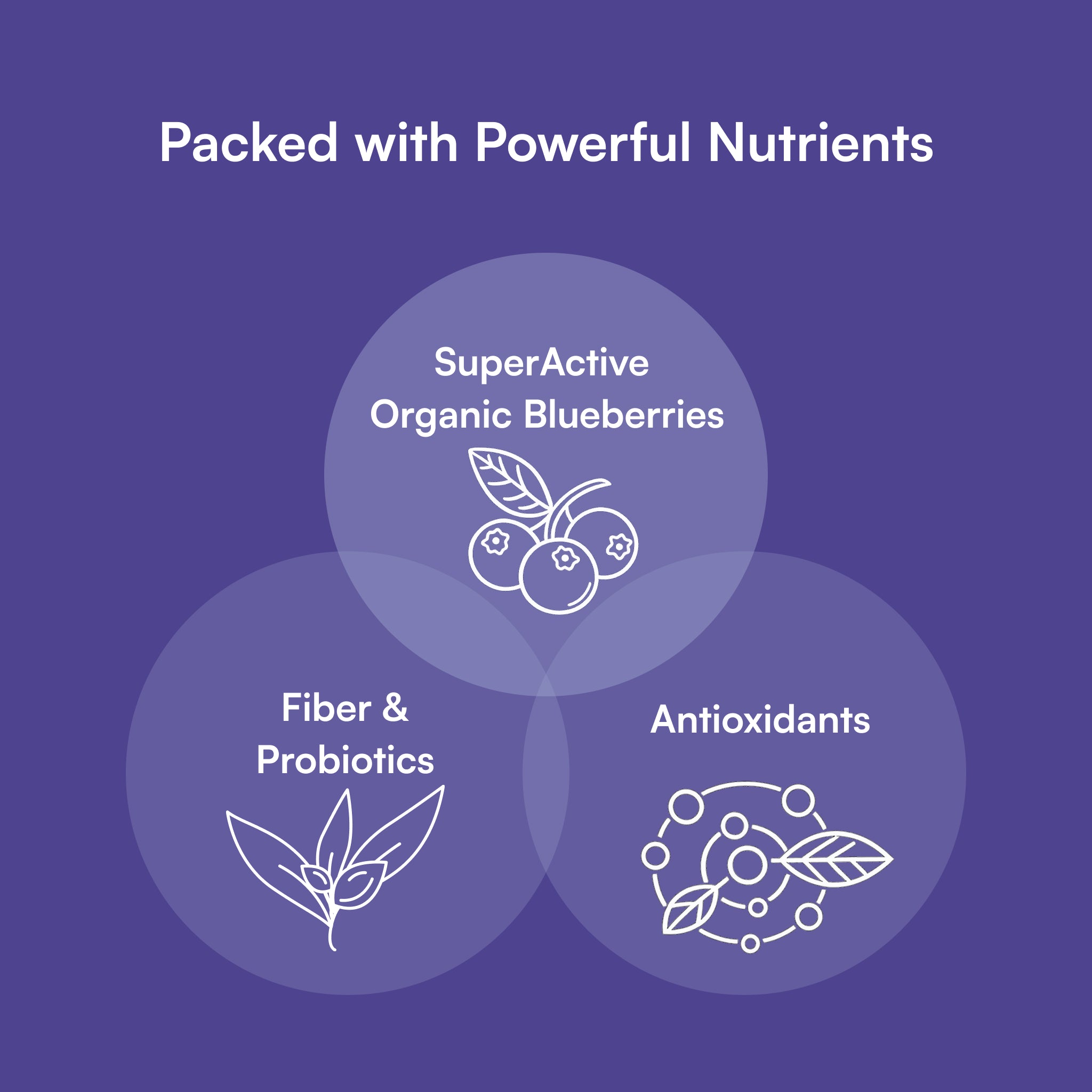 OJC® | Blueberry Detox