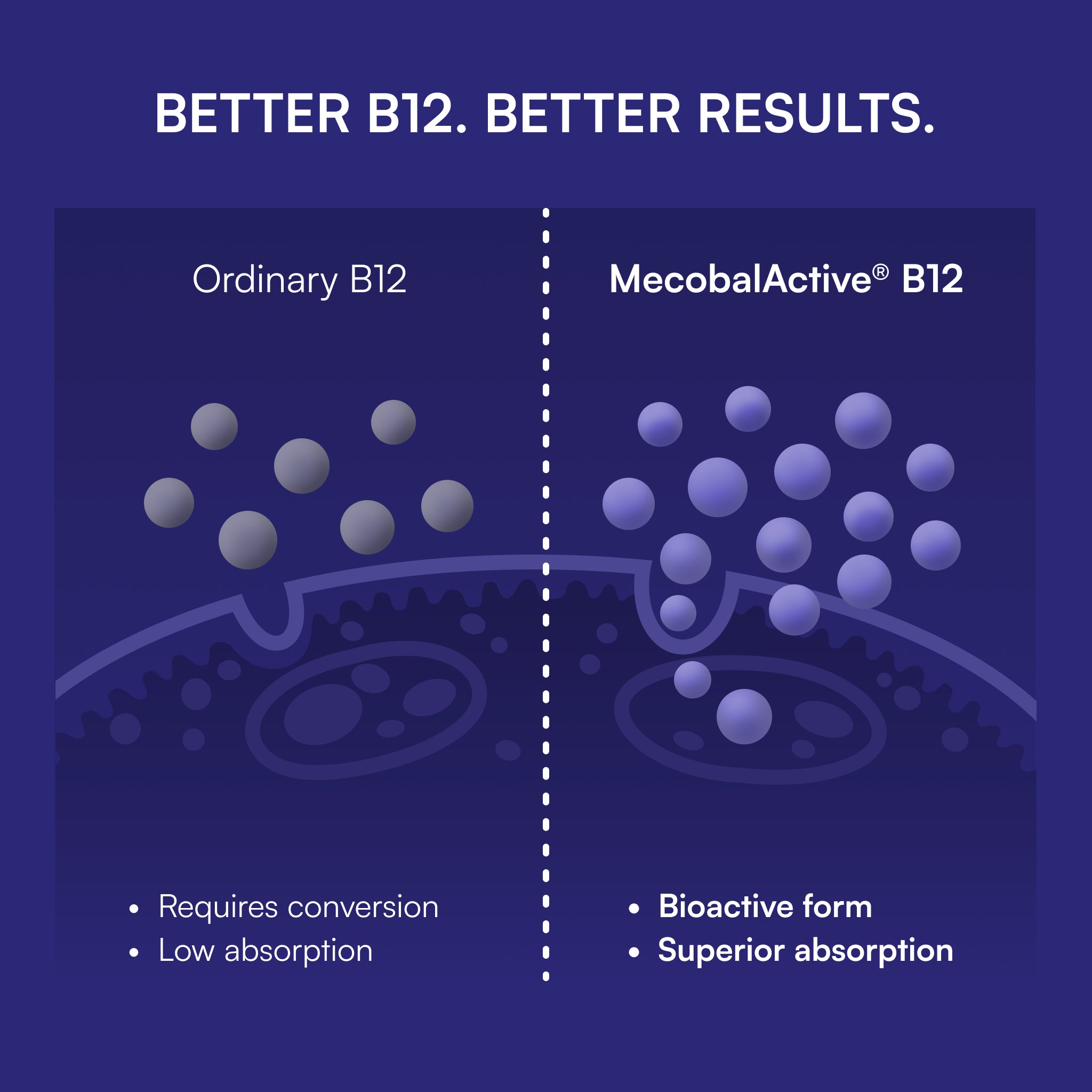 Blueberry Probiotic B12 Energy Melt