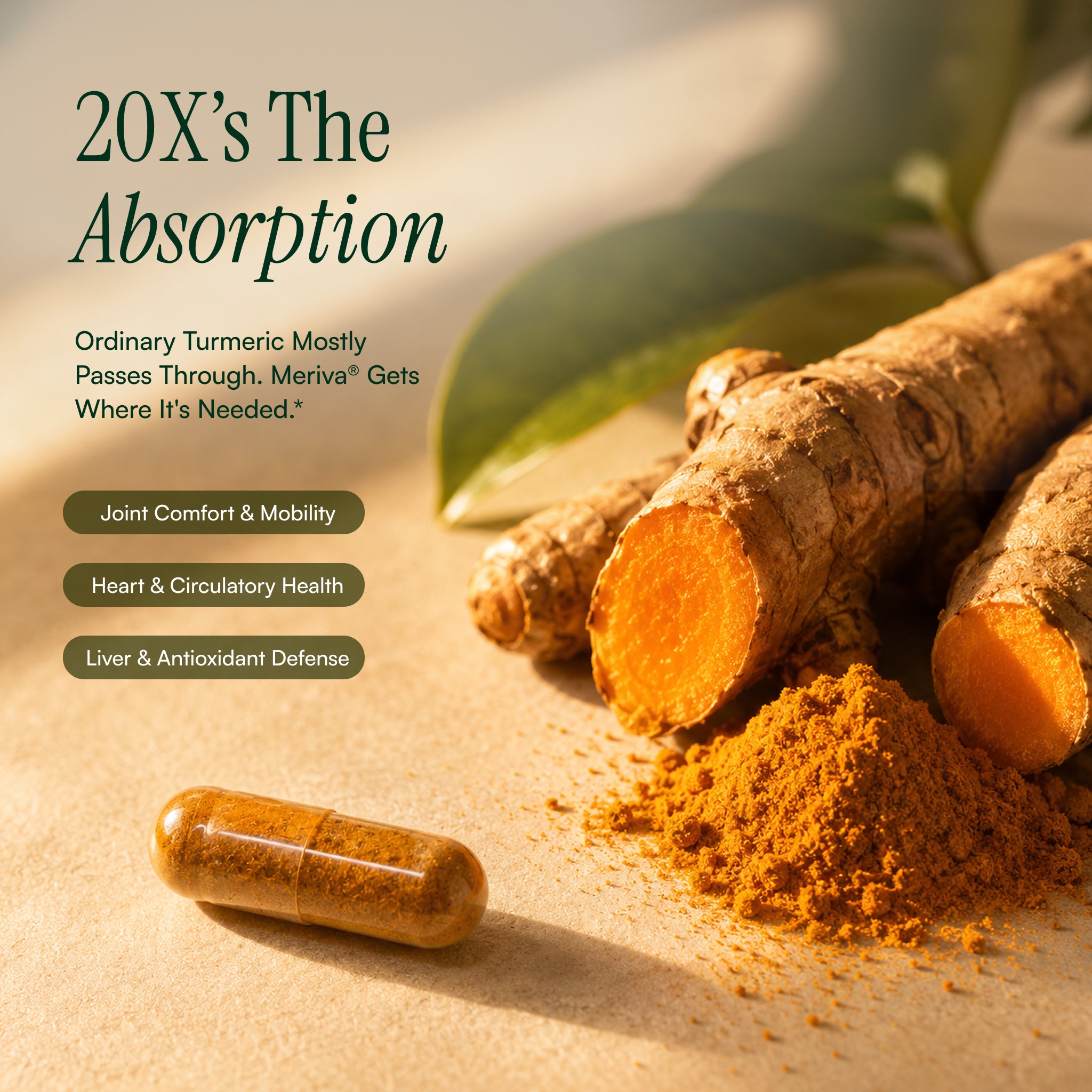 Chris Kilham's Clinical Curcumin™
