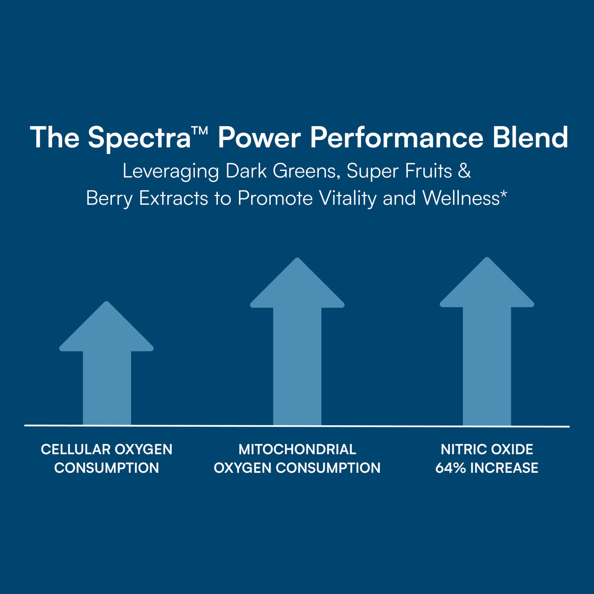 Men's Perfect Multi – Purity Products