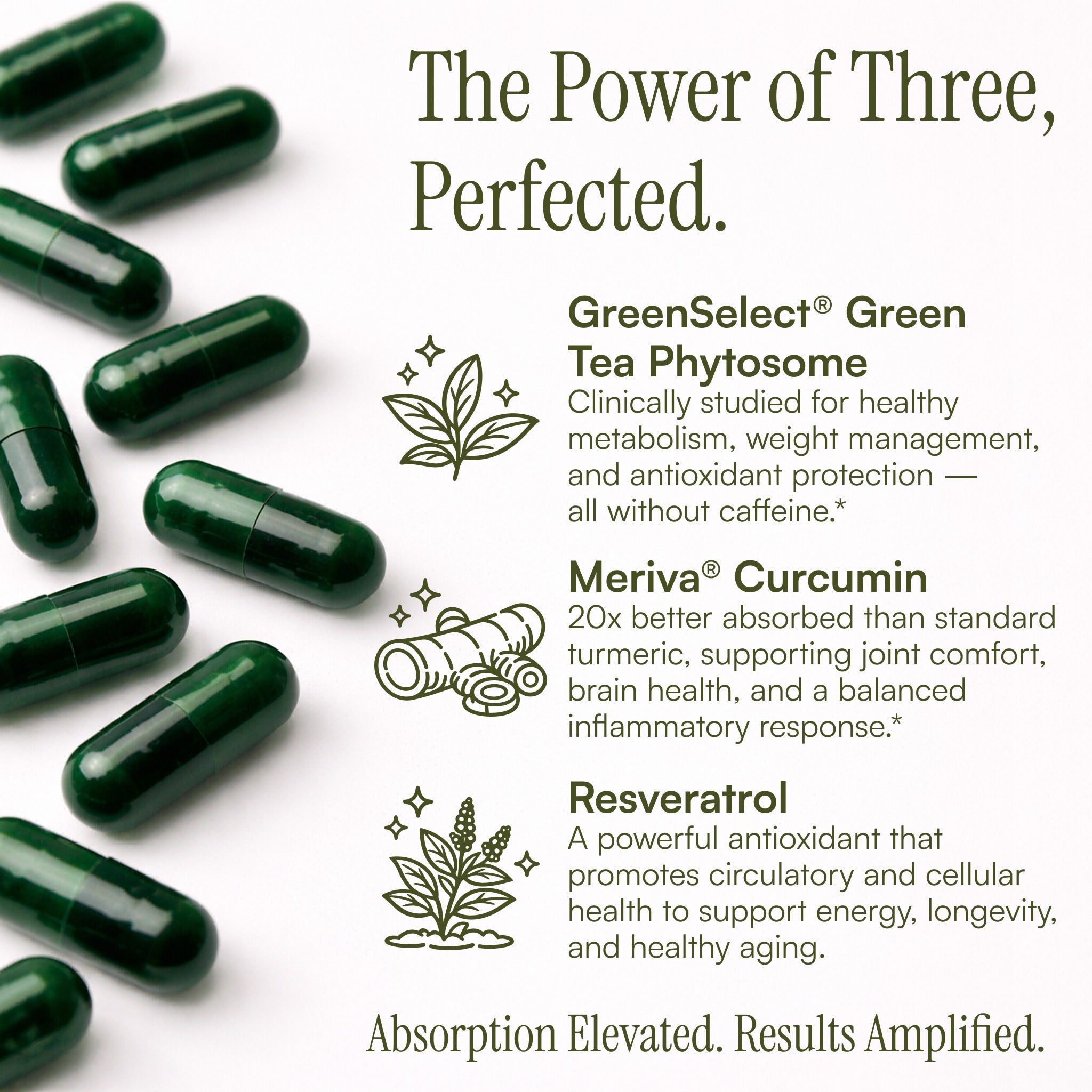 Chris Kilham's Green Tea CR™ Phytosome