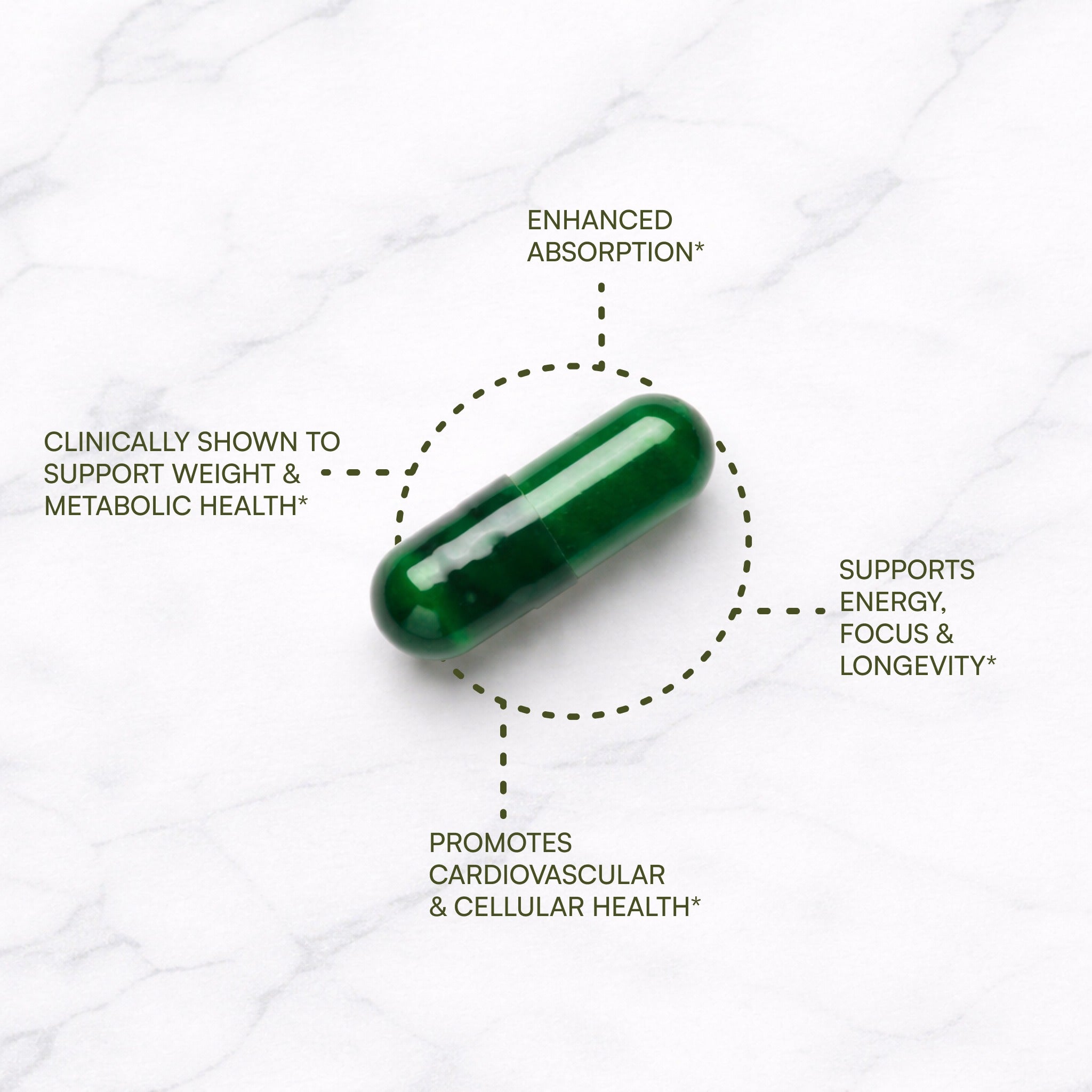 Chris Kilham's Green Tea CR™ Phytosome