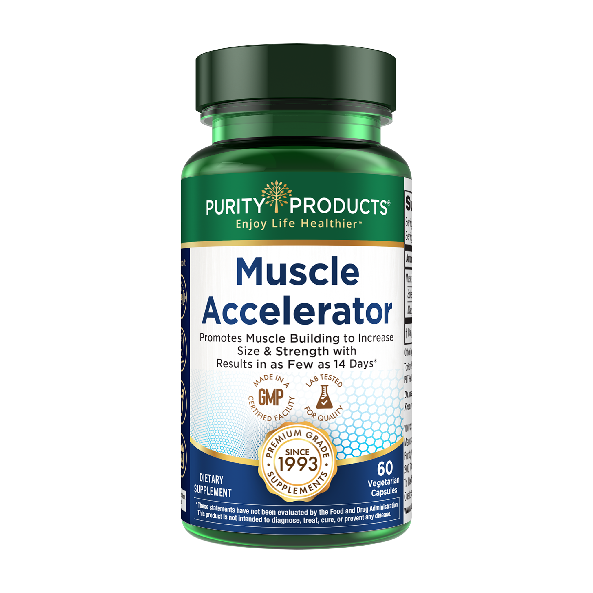 Muscle Accelerator