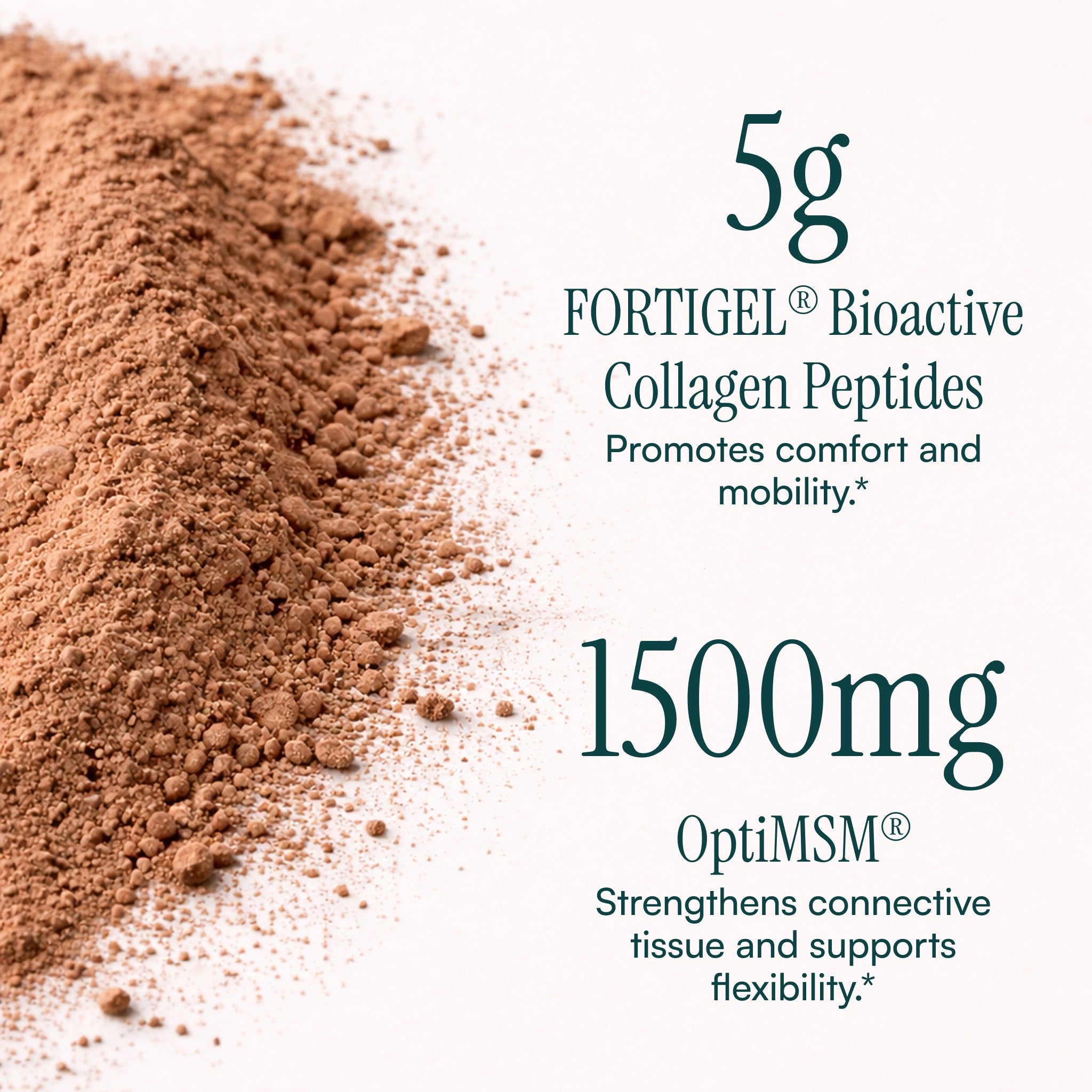 JointGel® | Chocolate