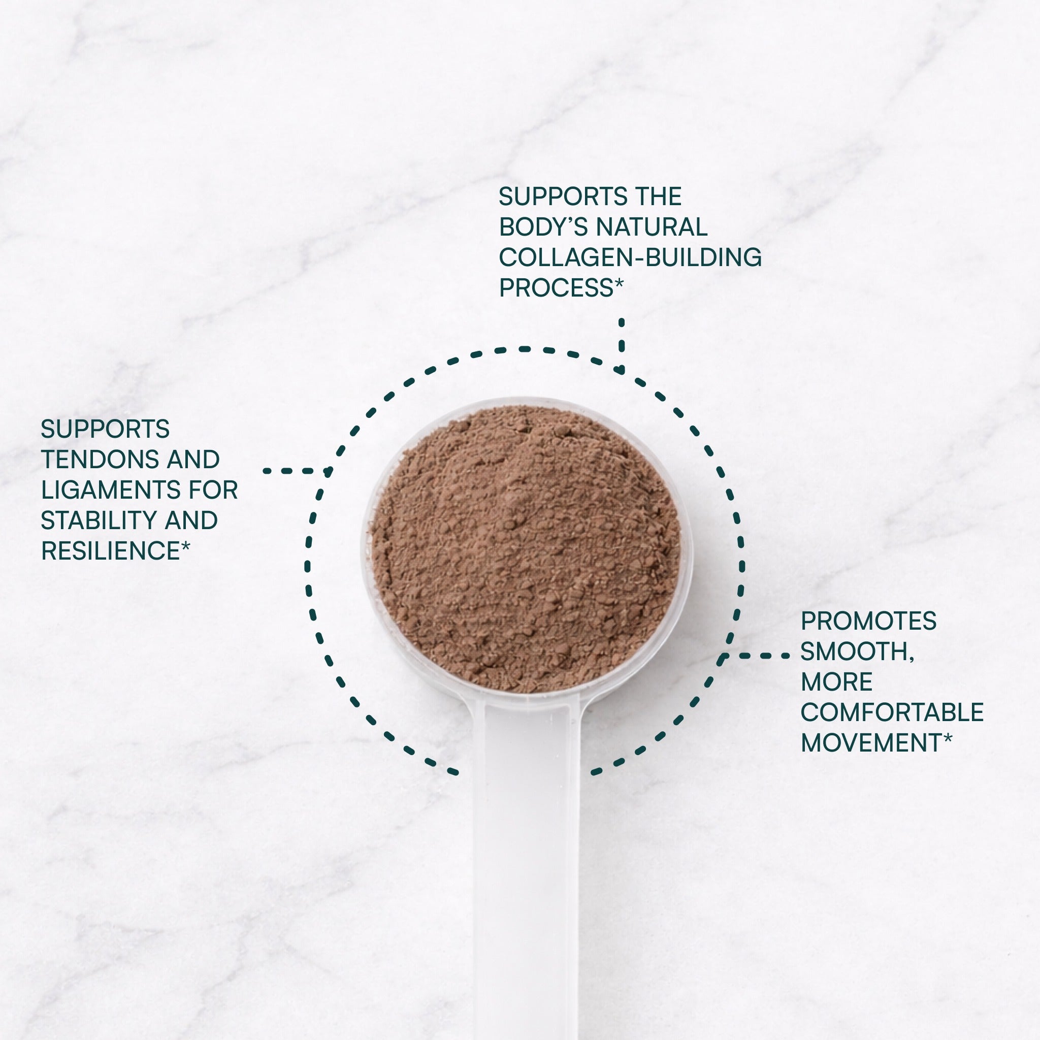 JointGel® | Chocolate