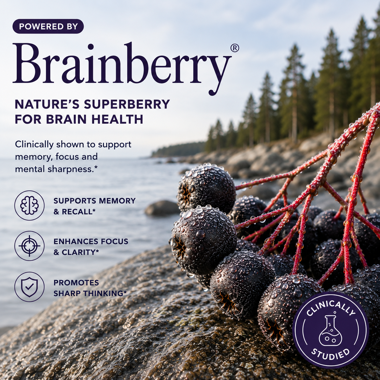 Focus5D™ Melts