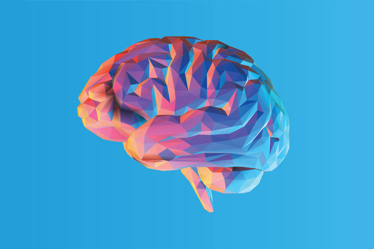 brain-in-poly-shapes