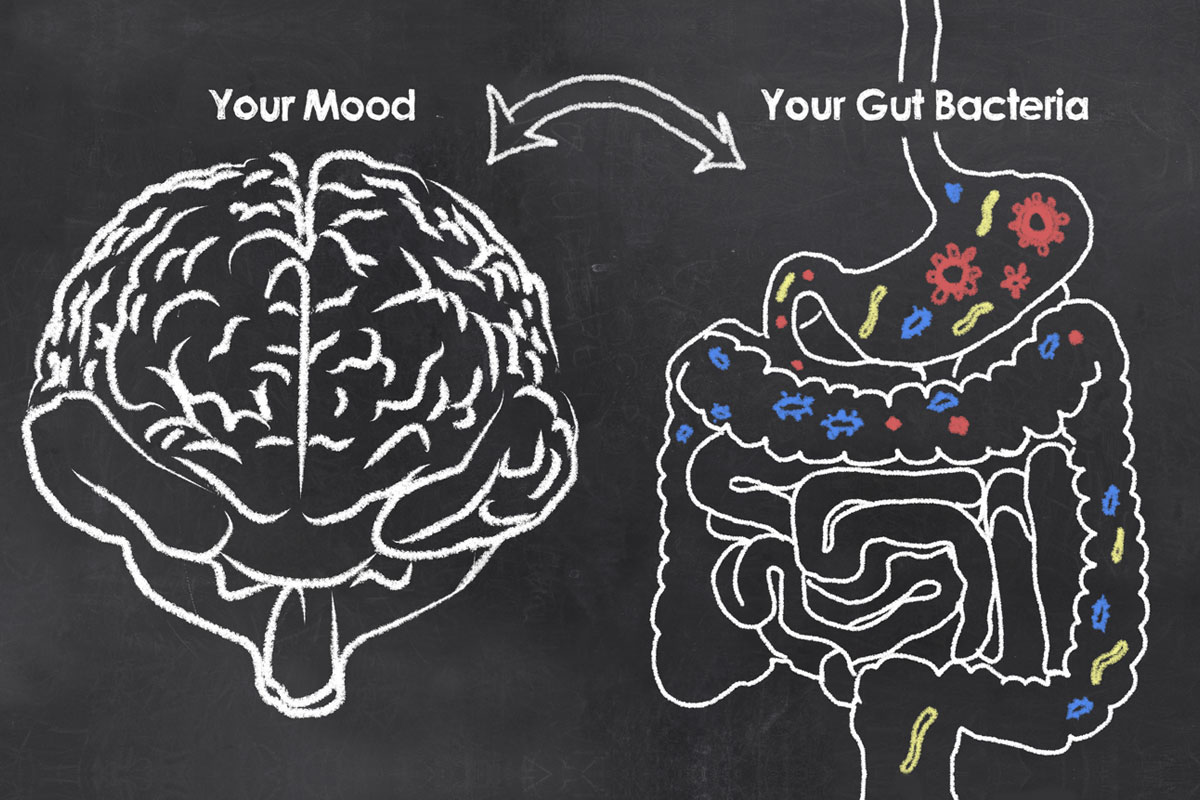 brain-mood-and-gut-health