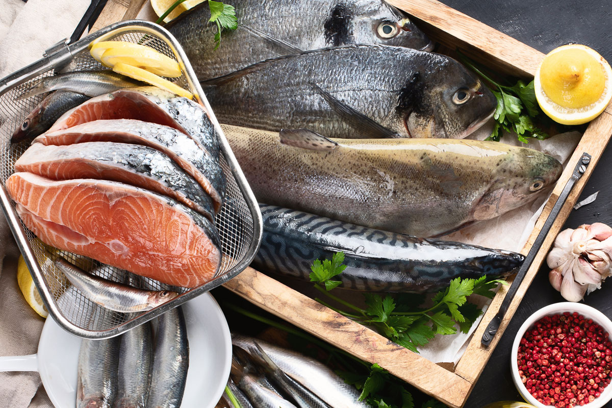 fresh-assortment-of-fish
