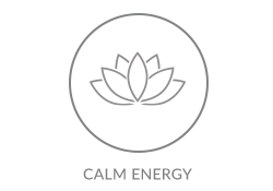 Zenergy Icon